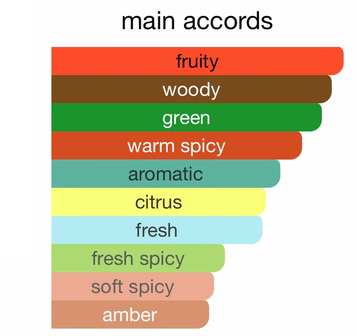 Afnan 9 PM Eau De Parfum 100ml For Men - Aromatic Spicy Fragrance - Image 3